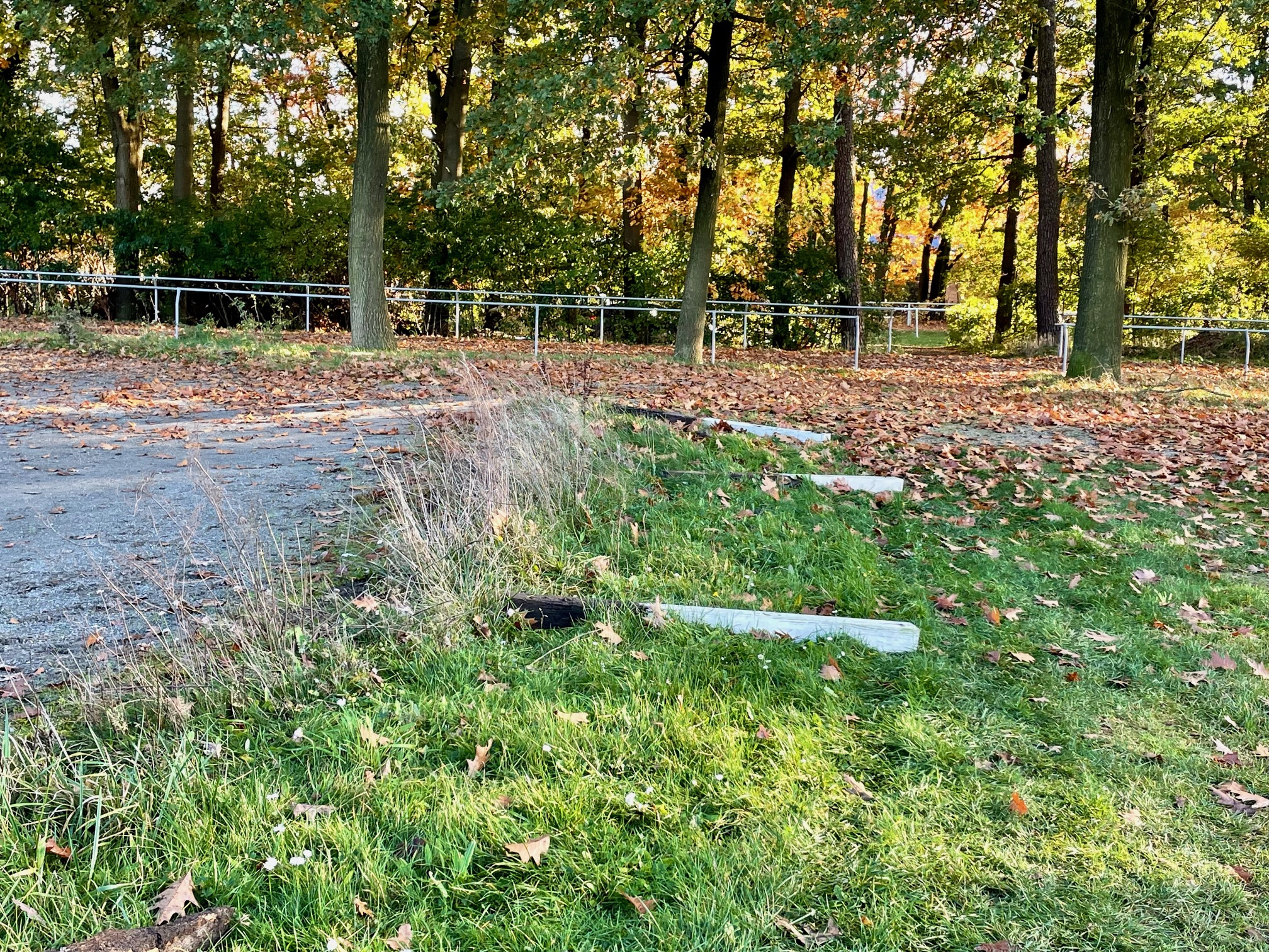 Arbeitseinsatz2