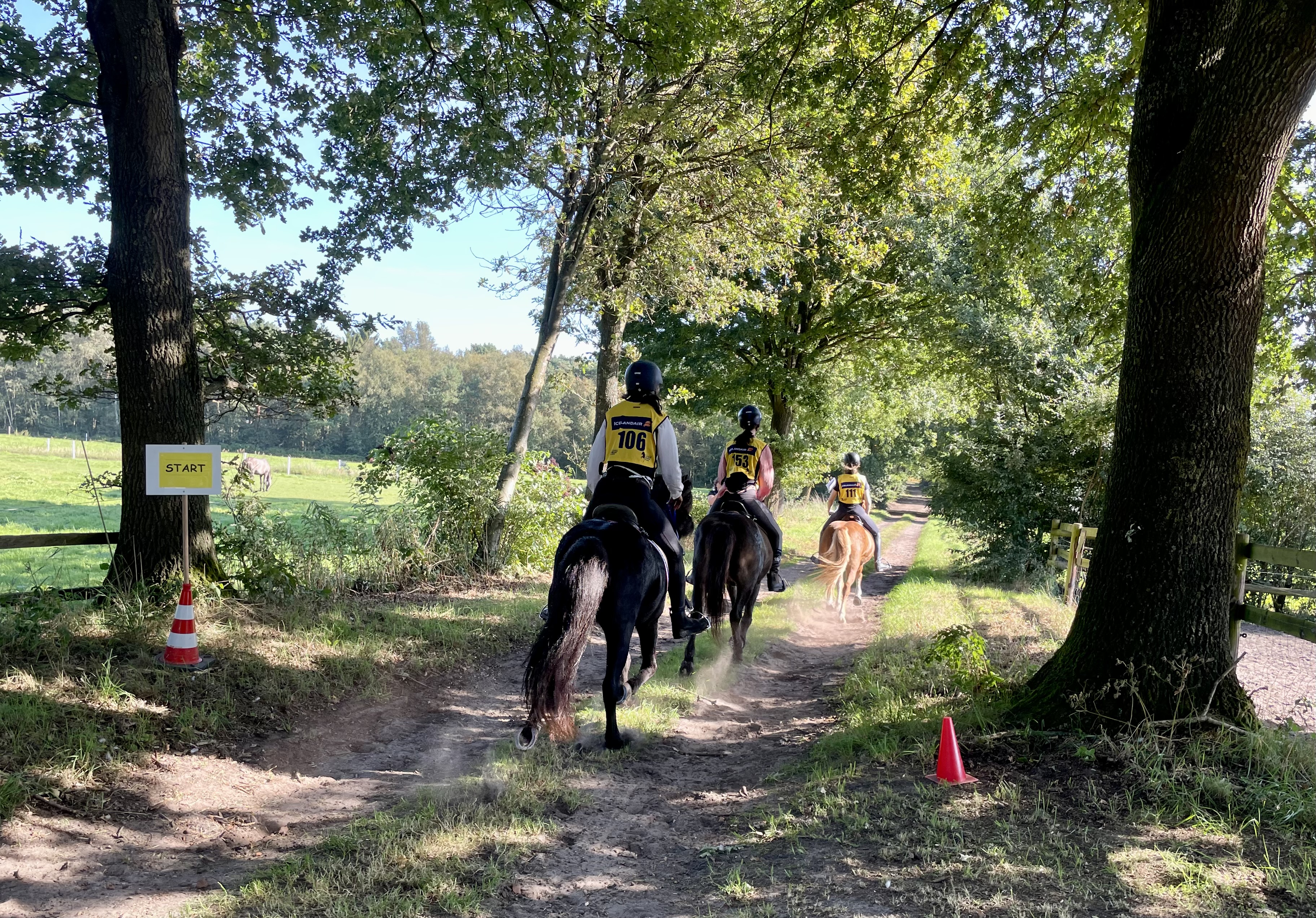Distanzritt Start
